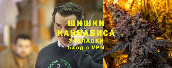 гидра Аркадак