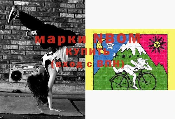 гидра Аркадак