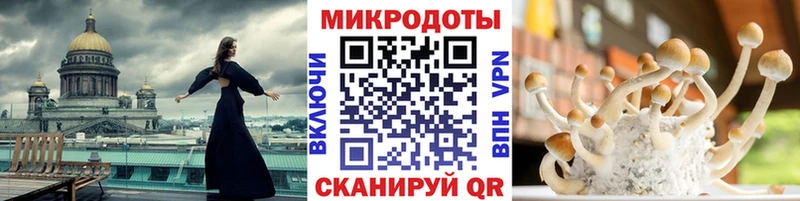Галлюциногенные грибы Psilocybine cubensis  Микунь 